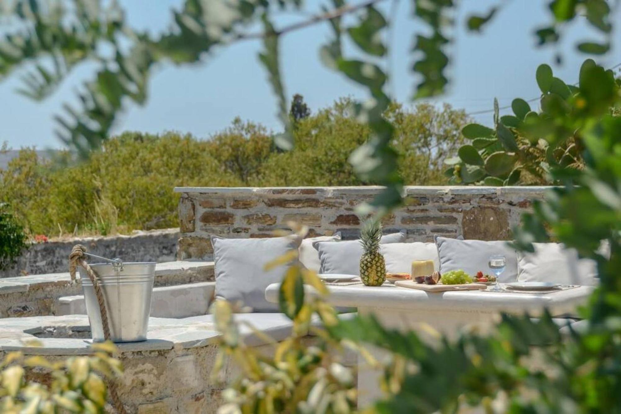 Villa Anthemion Naxos With Outdoor Jacuzzi Ano Sangrion Экстерьер фото